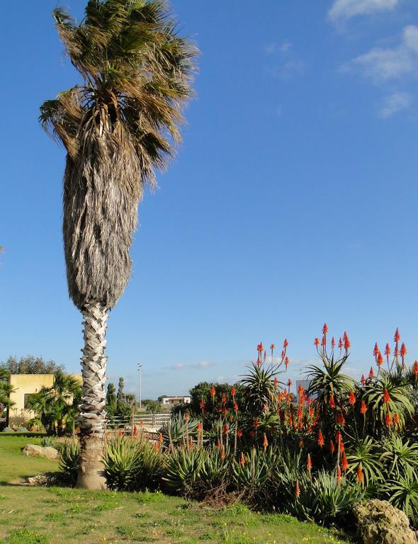 Il Giardino Delle Aloe Pension Favignana Buitenkant foto