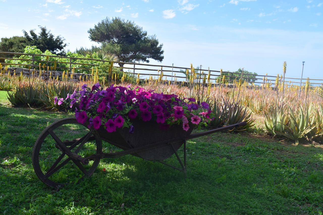 Il Giardino Delle Aloe Pension Favignana Buitenkant foto