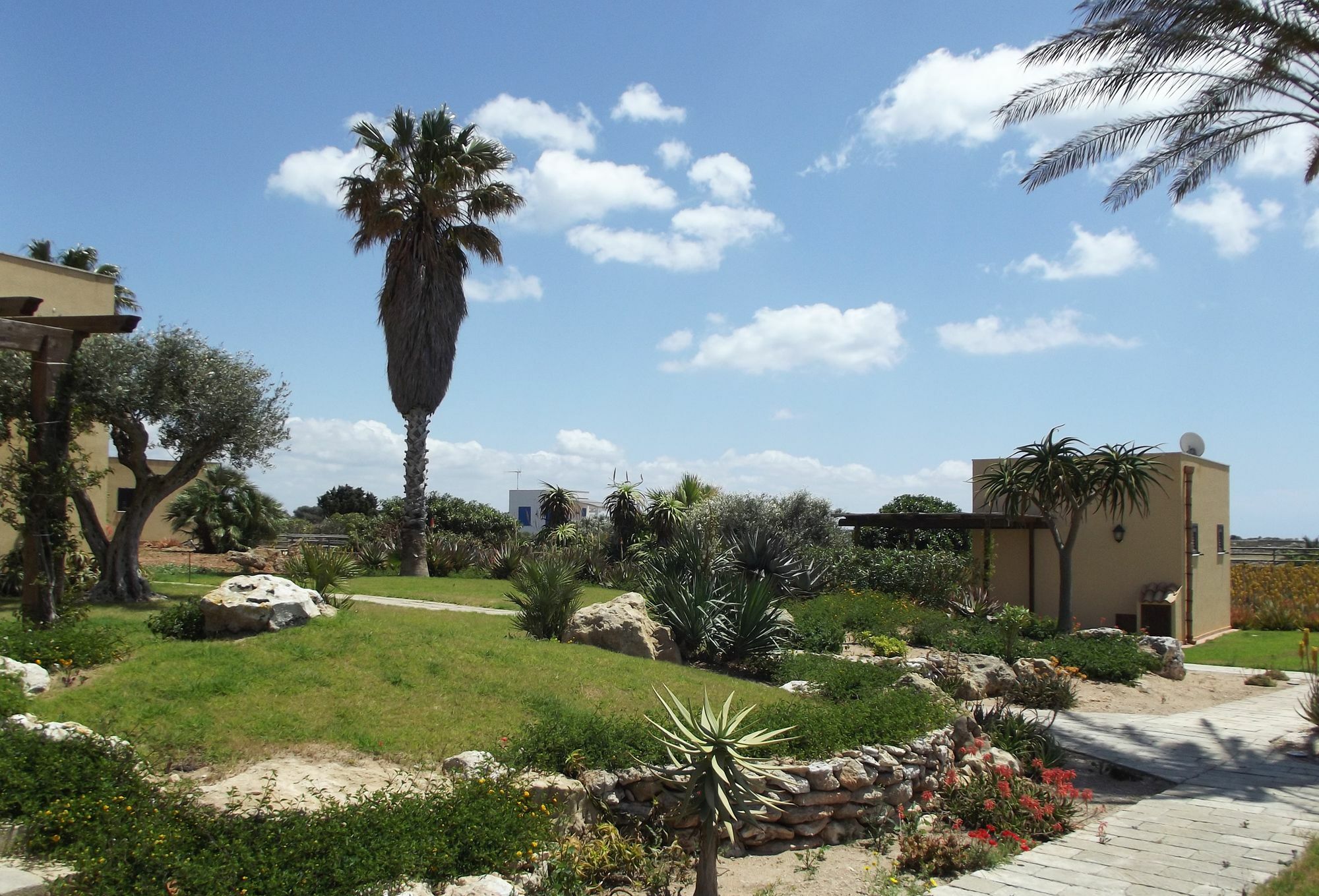 Il Giardino Delle Aloe Pension Favignana Buitenkant foto